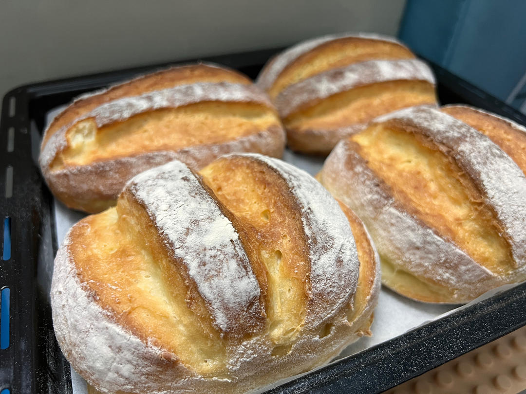 像吃海绵蛋糕的双倍特浓牛奶哈斯