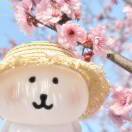 老乡你在吃什么