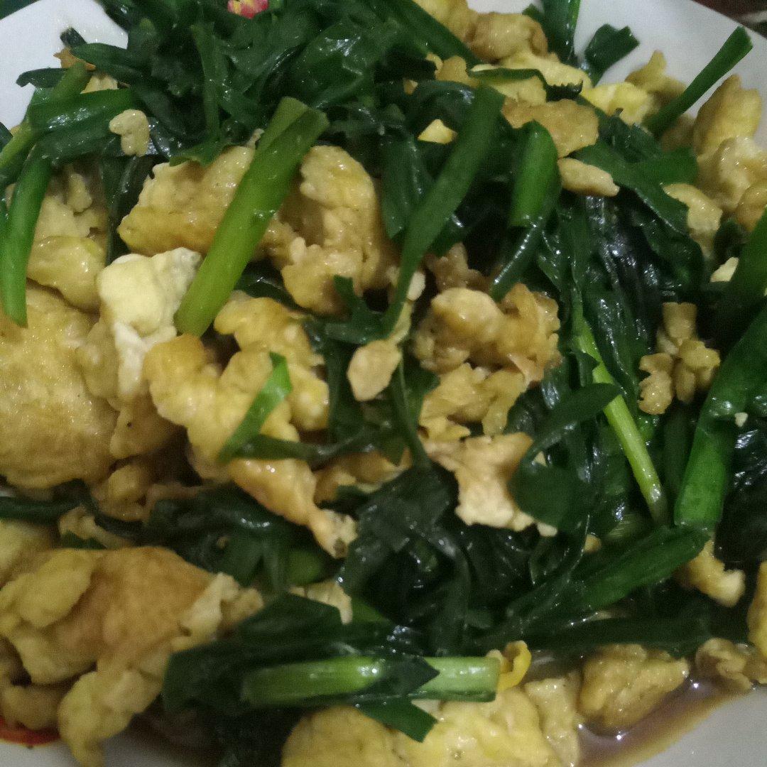 韭菜炒鸡蛋