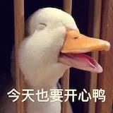 食客一枚