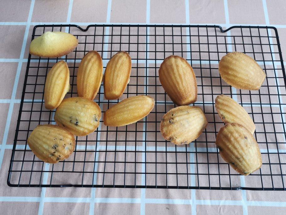 经典原味玛德琳·法国风味甜点『快手、超脆超香！100%鼓肚子』