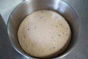 赛百味面包胚--蜂蜜燕麦面包 50%全麦 山寨版的做法 步骤10