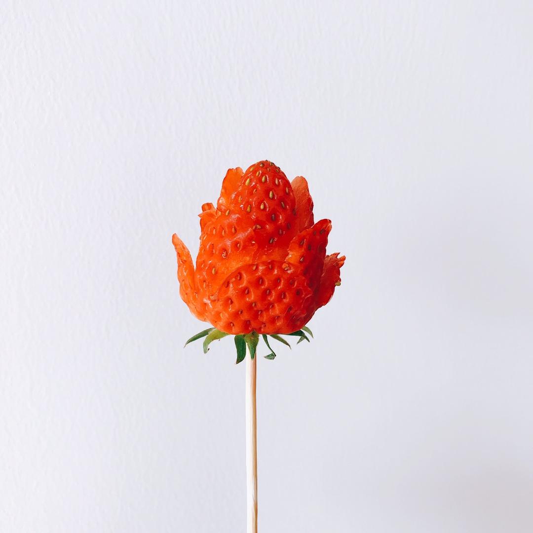 草莓玫瑰花