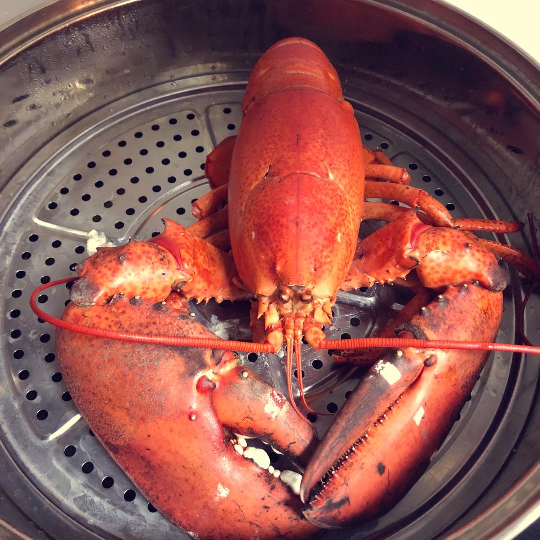 荷亭听雨做的清蒸波士顿龙虾