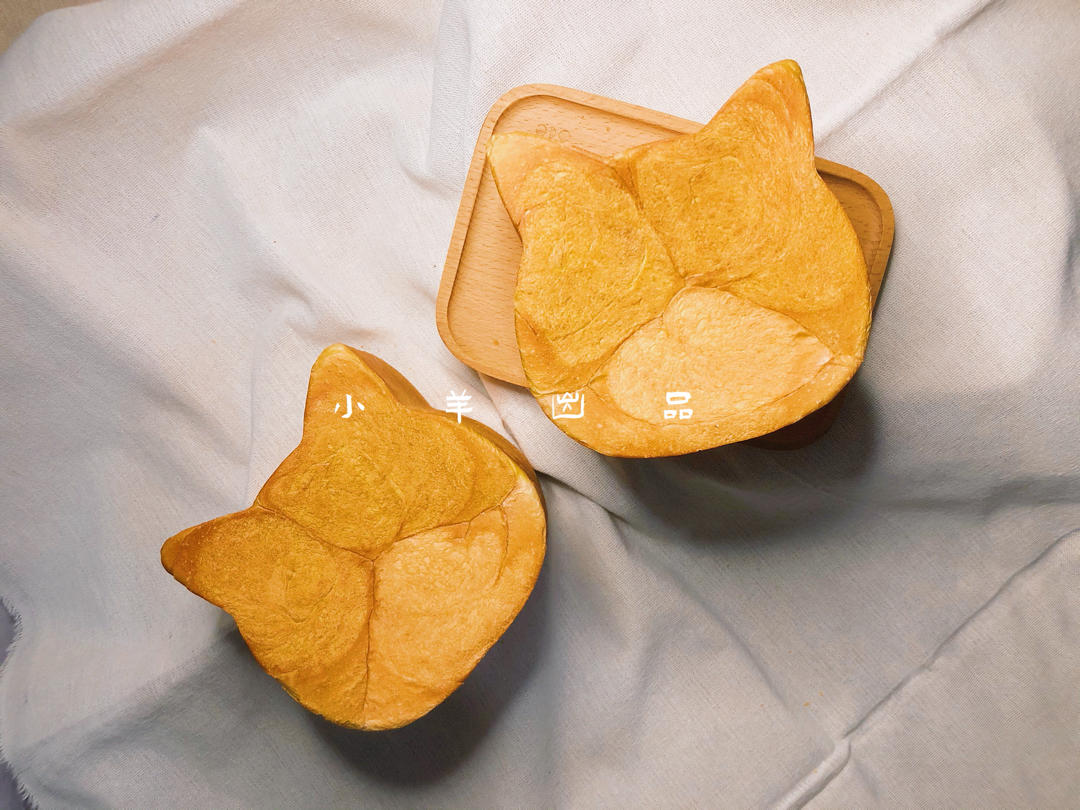 橘猫吐司
