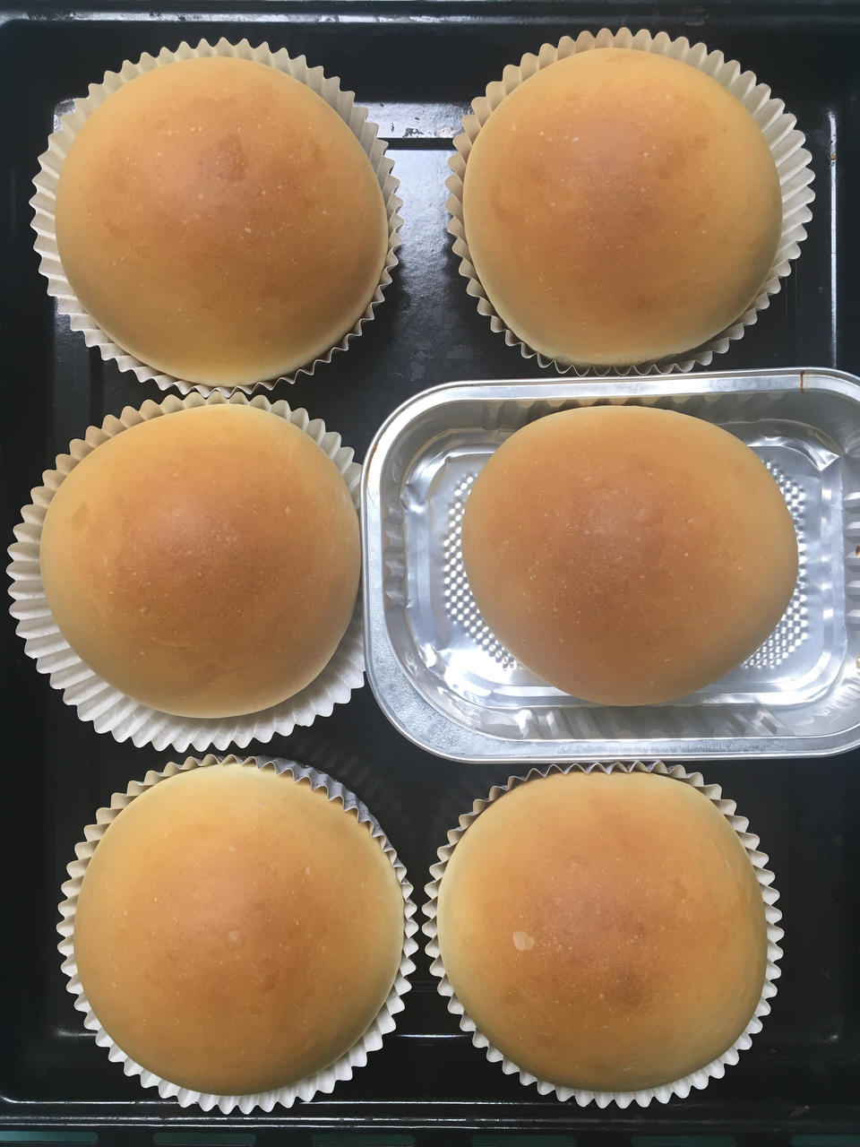 ❤️金大旺❤️汉堡胚