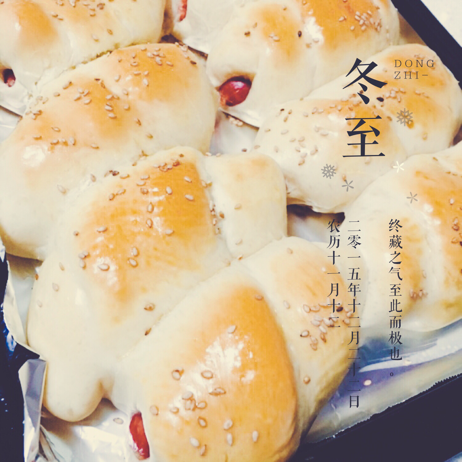热狗面包卷