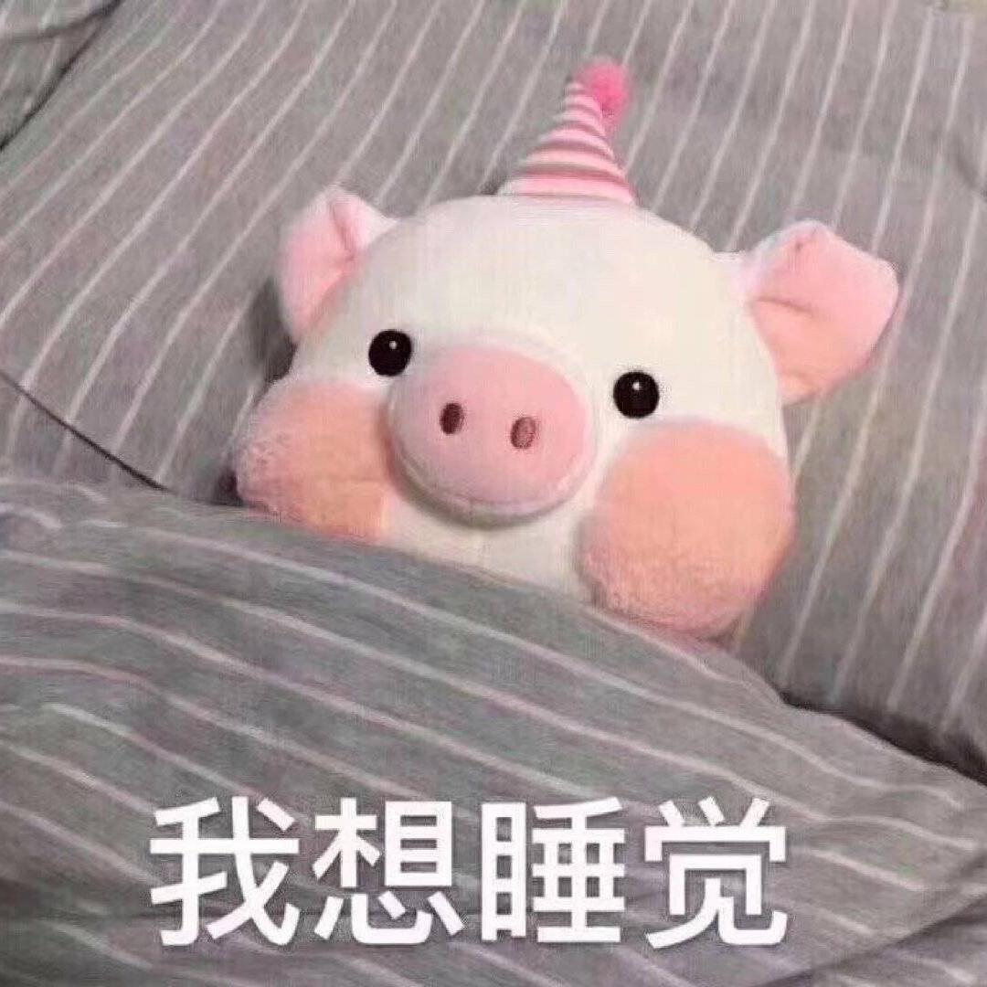 司徒依兰