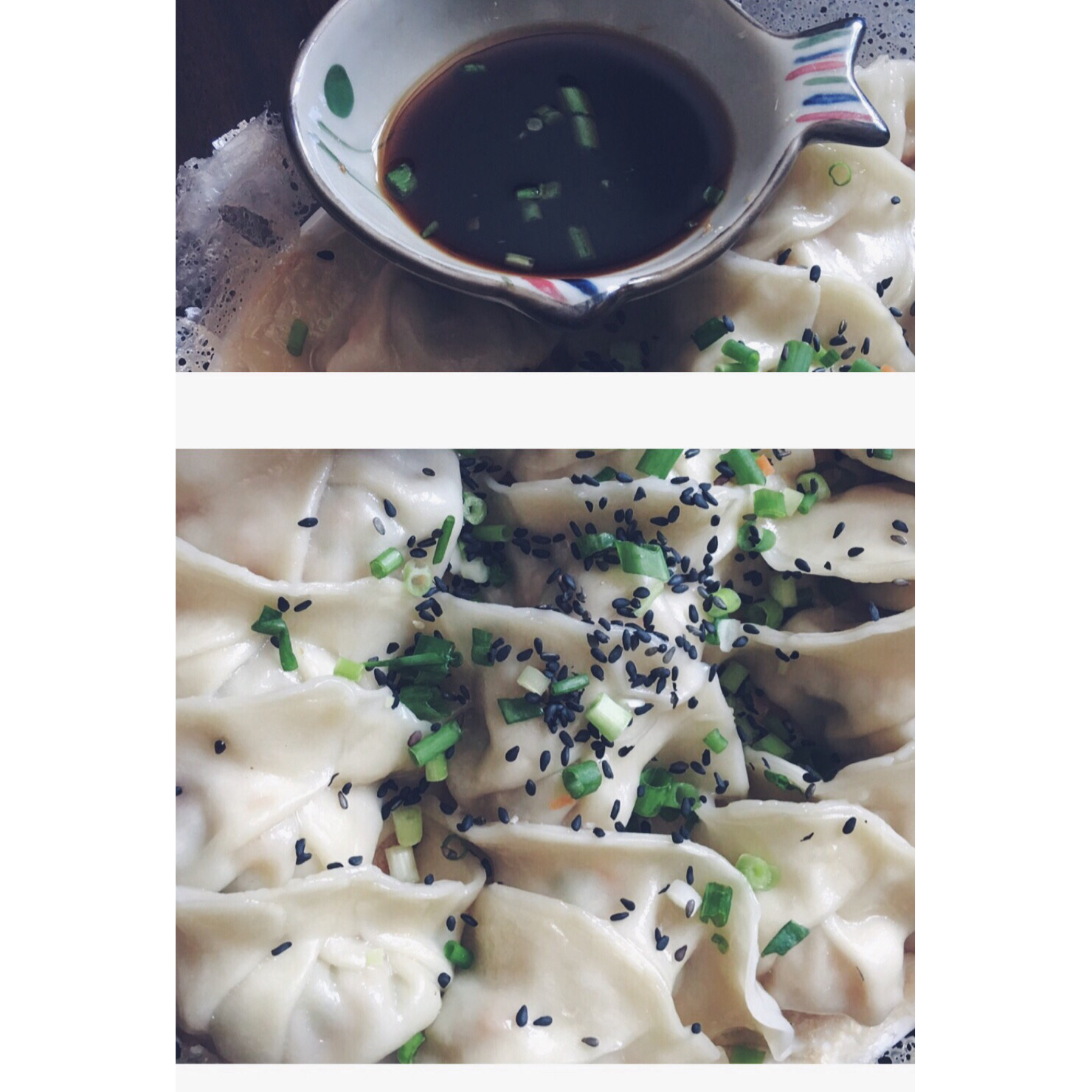 日食录