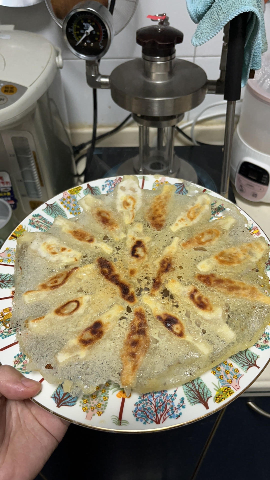 确保零失败 的日料店🥟冰花煎饺🥟