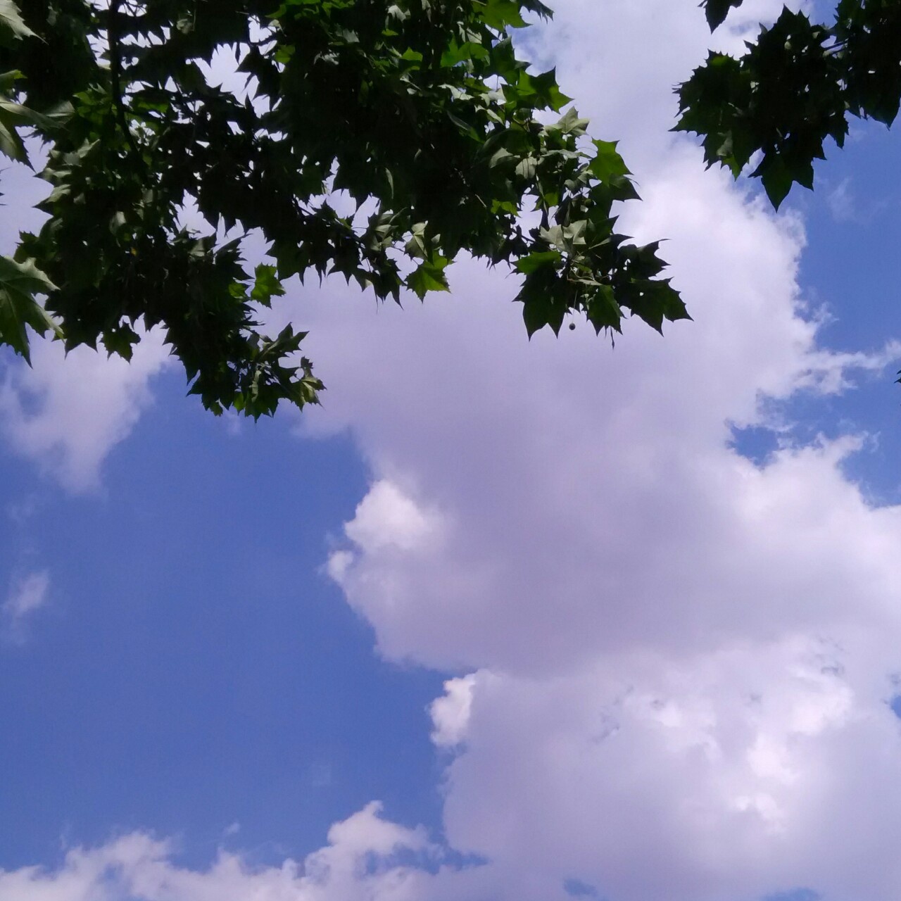 朝夕_7lx0