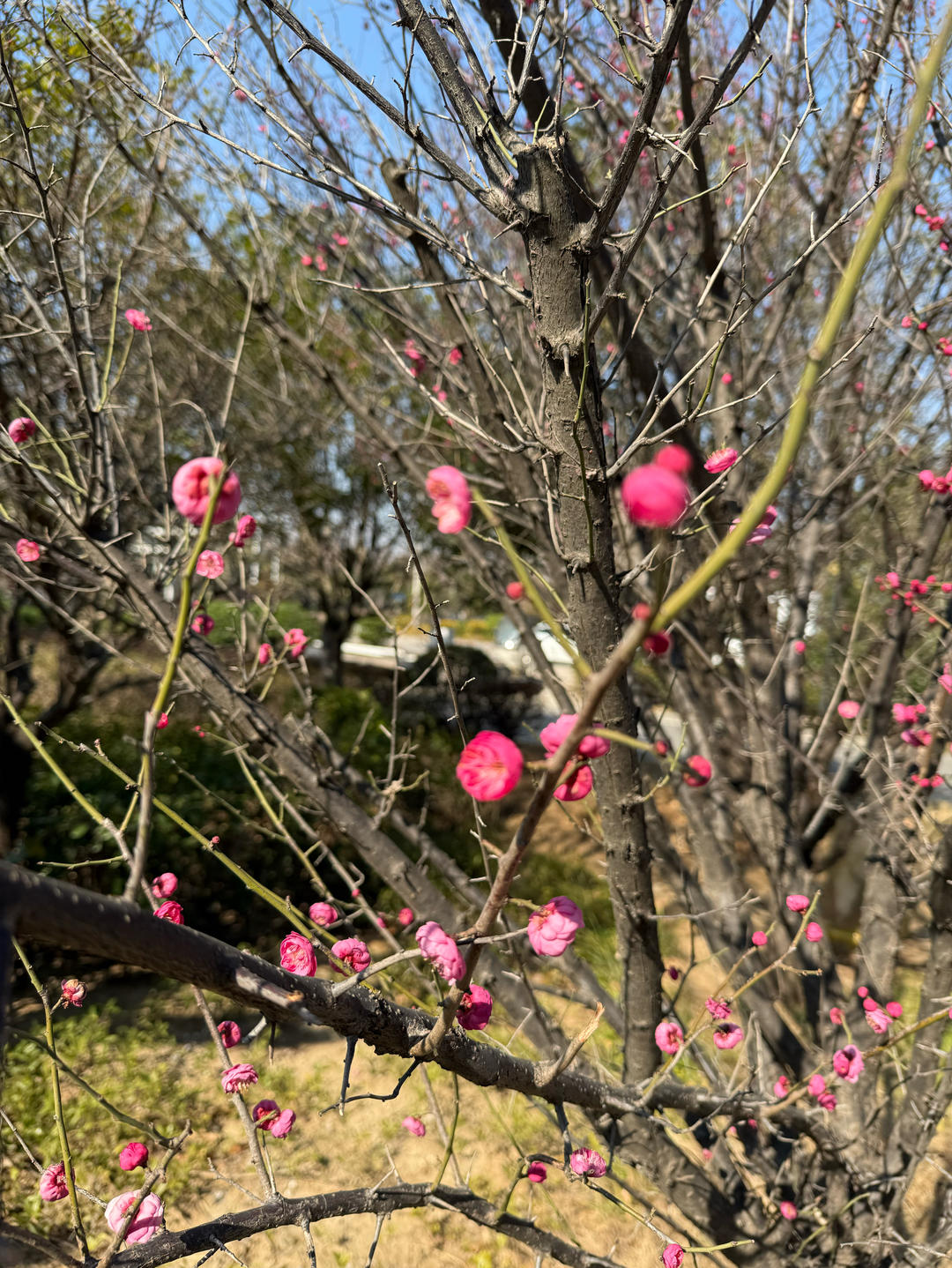 妈妈厨房的日常