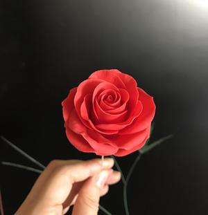 糖花之玫瑰花🌹的做法 步骤5