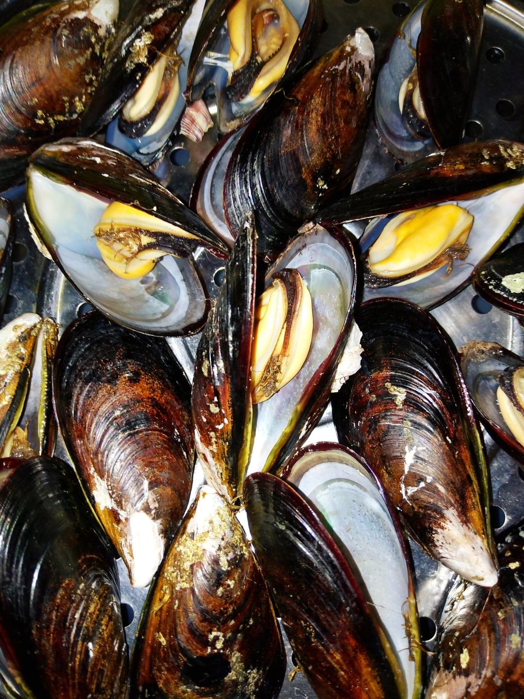 手机用户7260_6a87做的清蒸淡菜(蘸料)