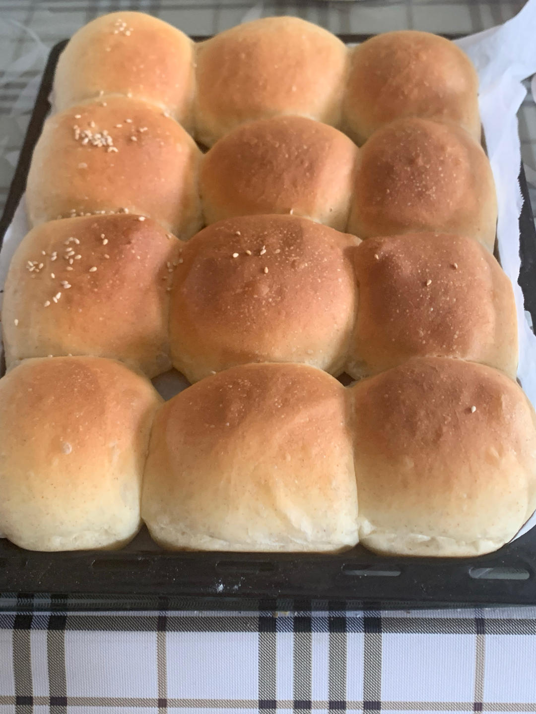 黑全麦小餐包