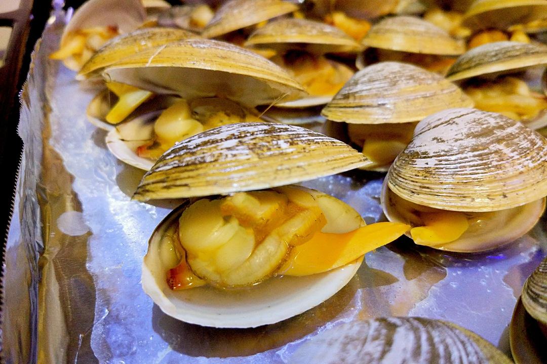 烤箱 烤箱蚬子 vincent.做的烤箱蚬子