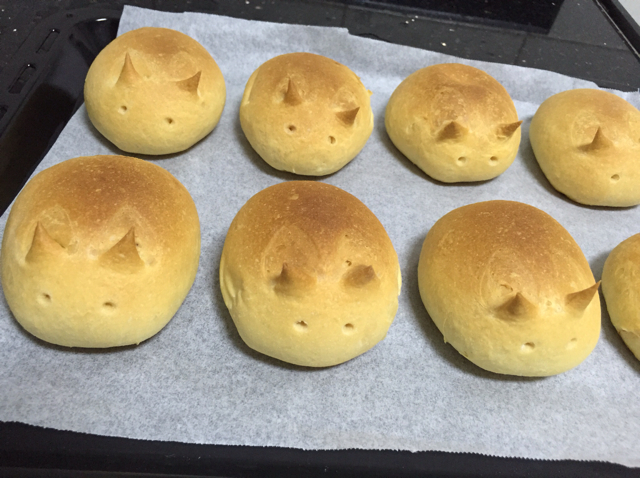 呆萌卡通小餐包