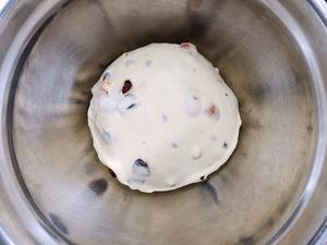 杏仁蔓越莓果干面包的做法 步骤4
