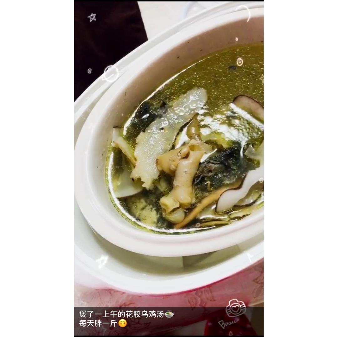 ✨花胶乌鸡汤✨