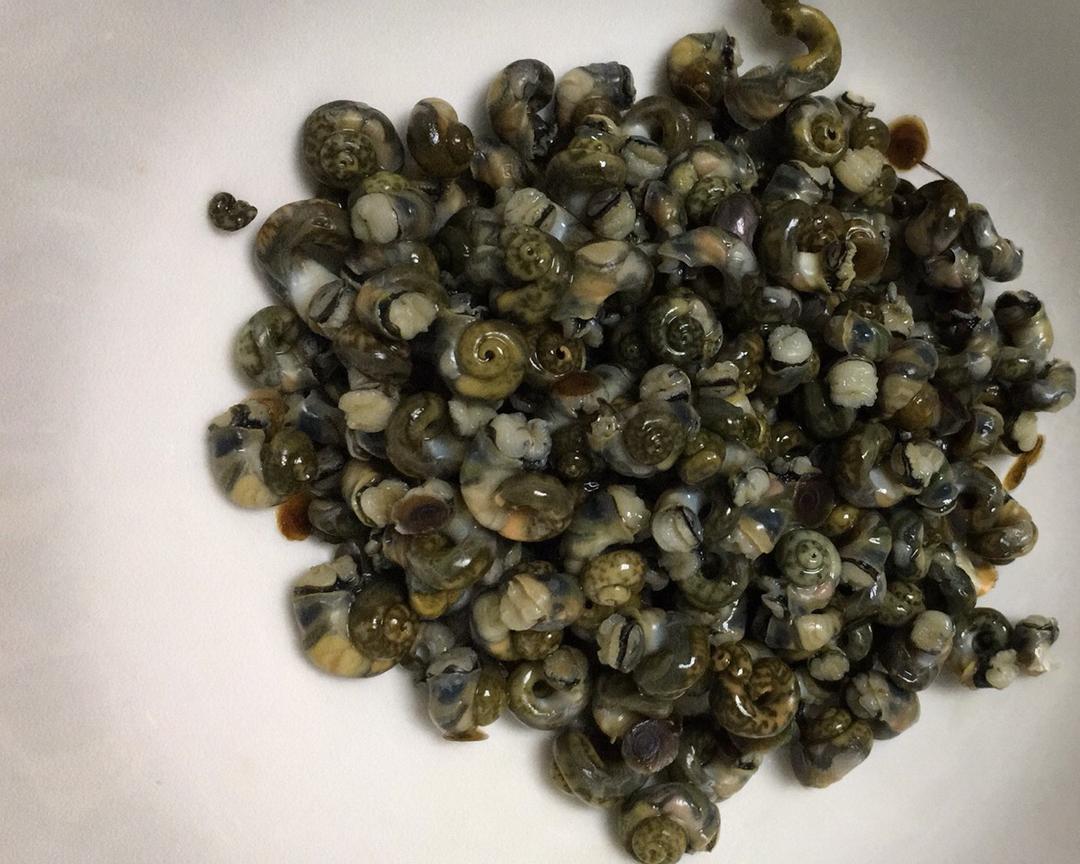 功夫菜小葱拌香波螺