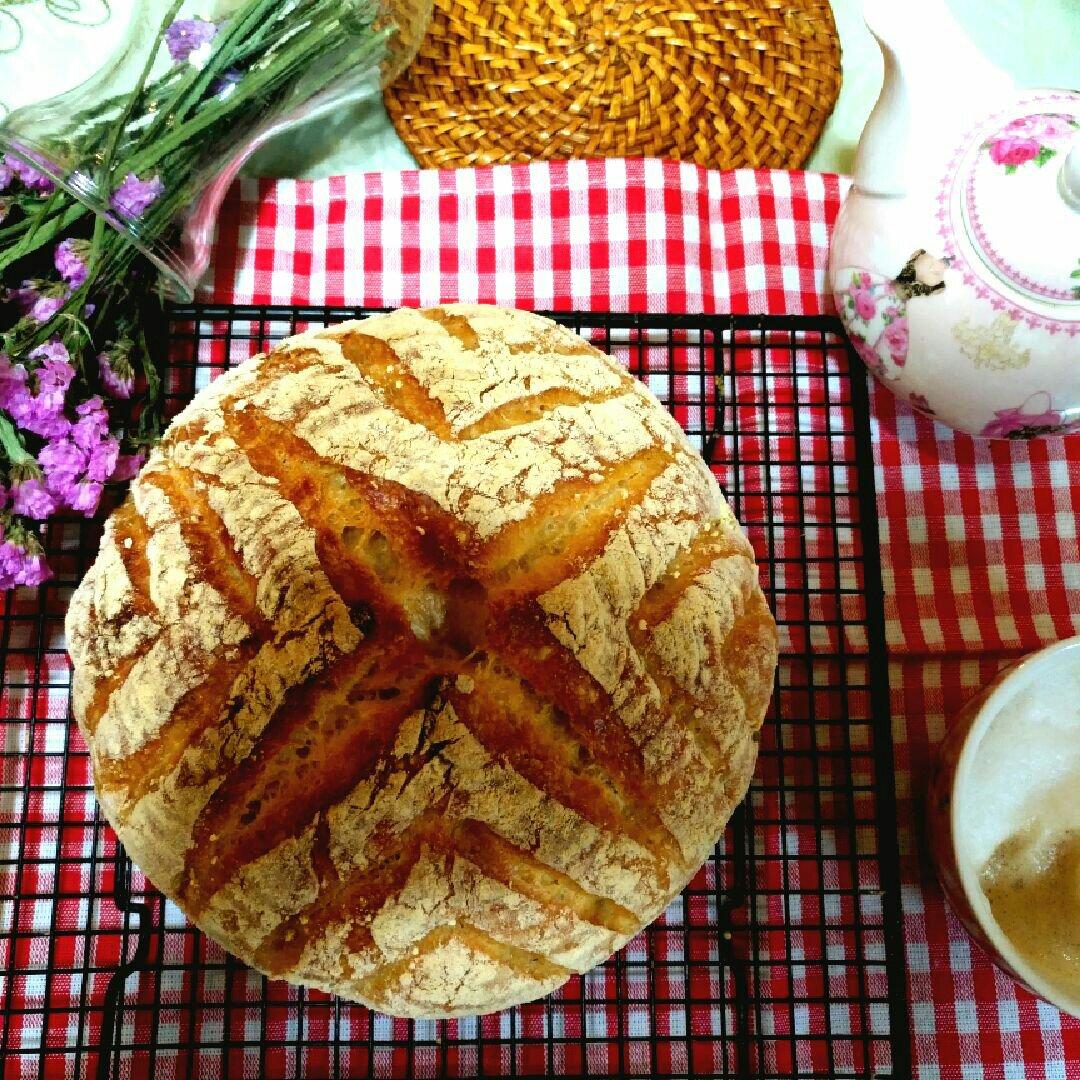 欧包/乡村面包-无油不用揉 No Knead Bread