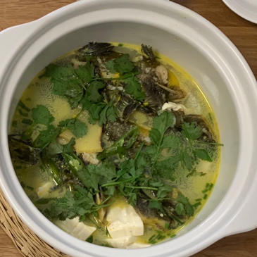昂刺鱼豆腐汤（黄辣丁）