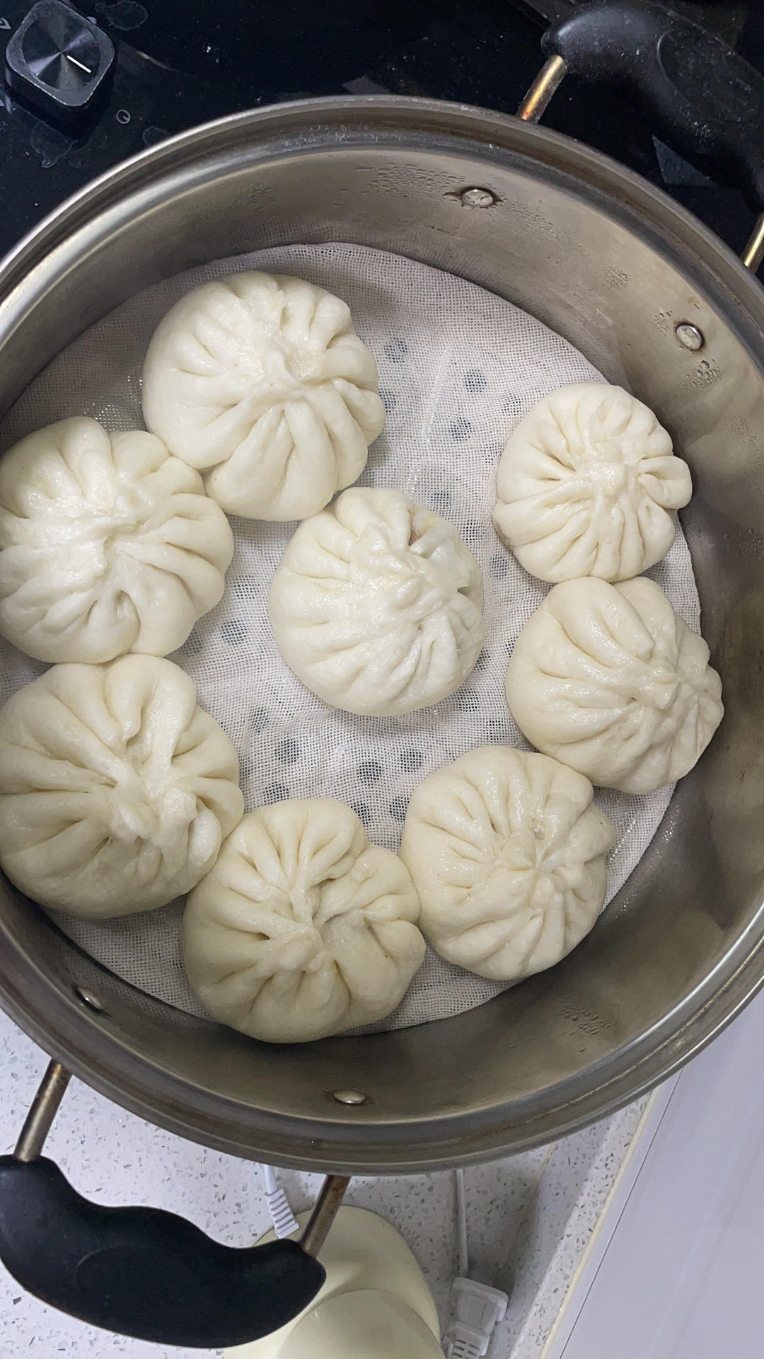 人生的第一包-鲜肉包子（街边味道）零失败，新手可做