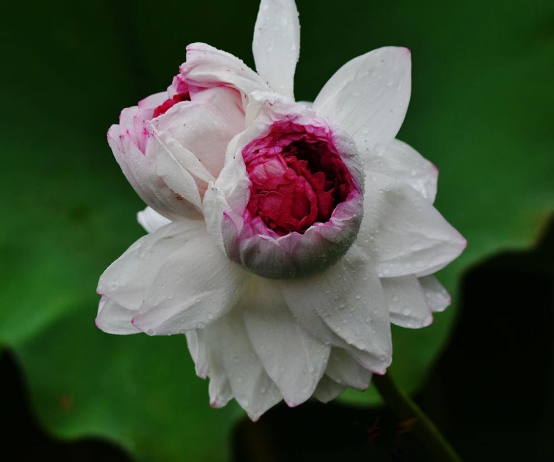 下厨房用户_327dj