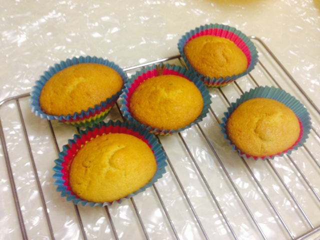 0失败的葡萄干麦芬