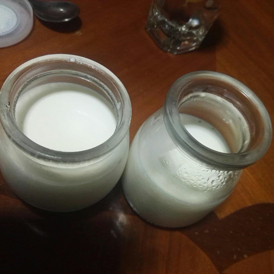 牛奶布丁