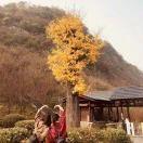 默默哒默默