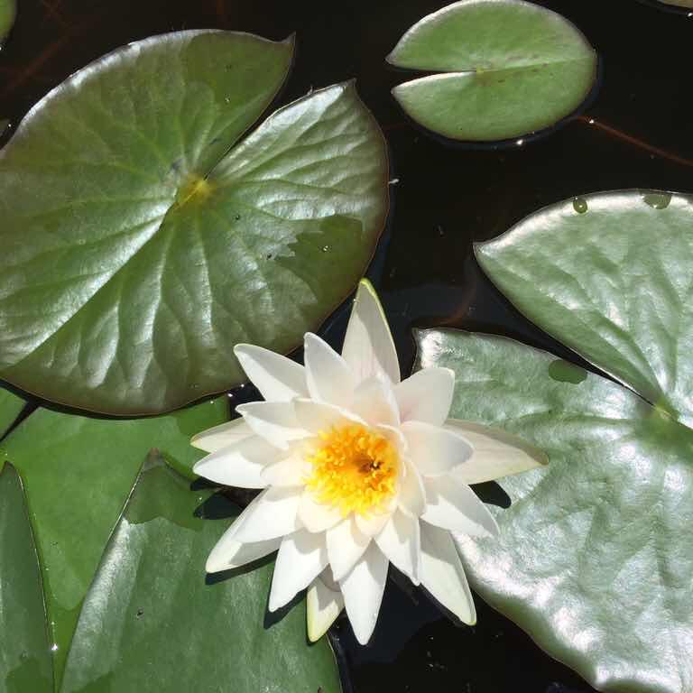 手机用户8119_by7p