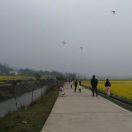 果语天使爱美丽