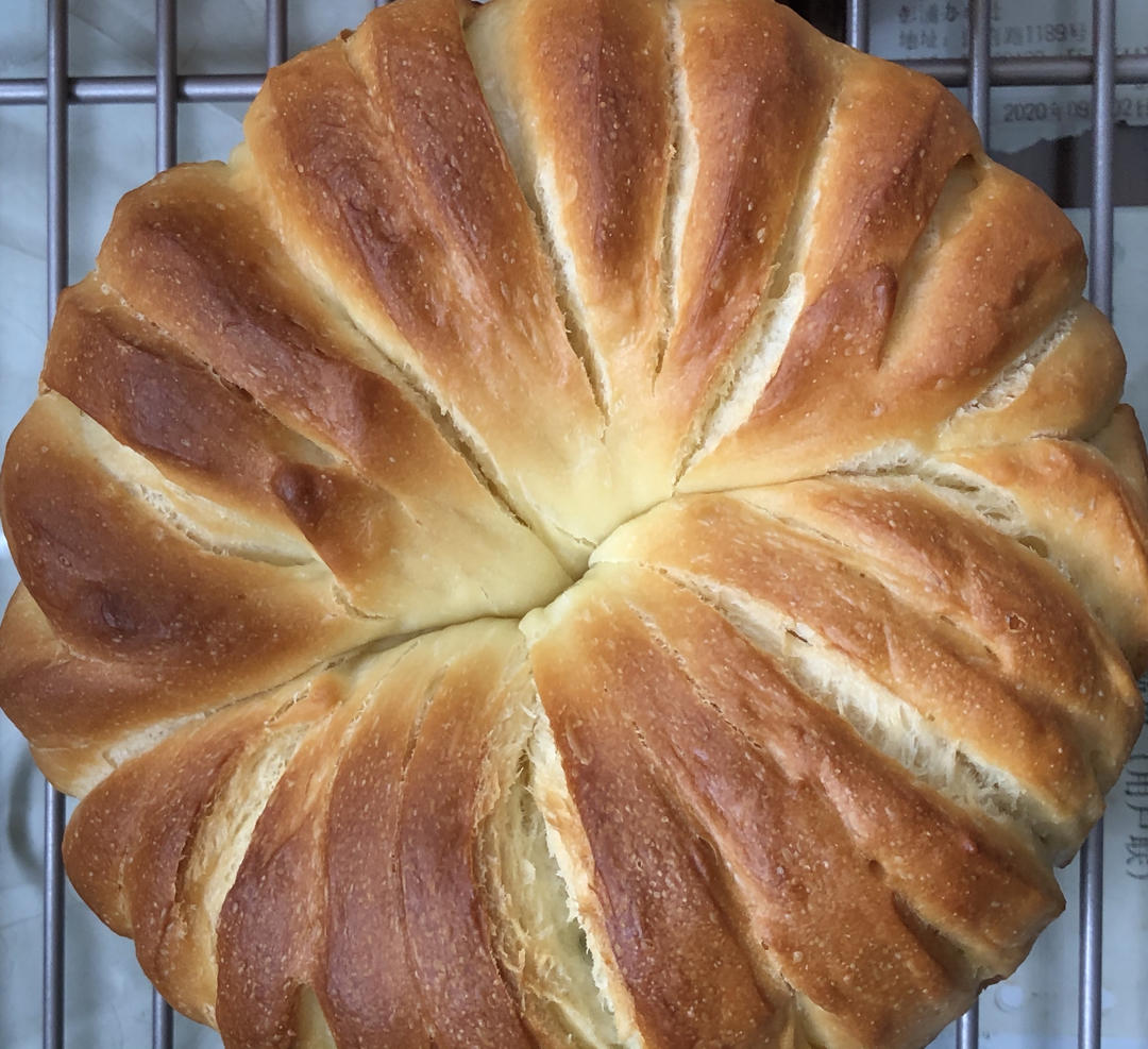 拉丝柔软会发光的毛线球面包