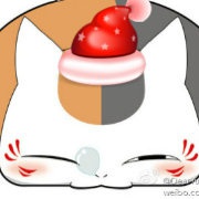 低調(diào)的肥蚊0_0v