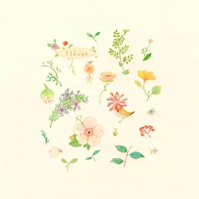 巧克力色的Ciara