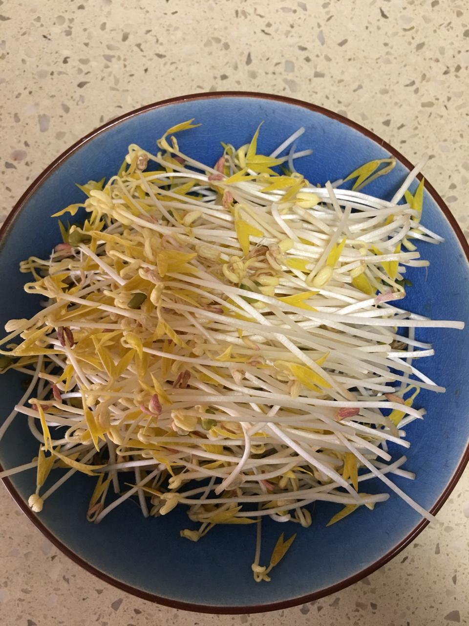 自发豆芽
