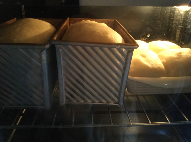 老式面包（玉米油版）