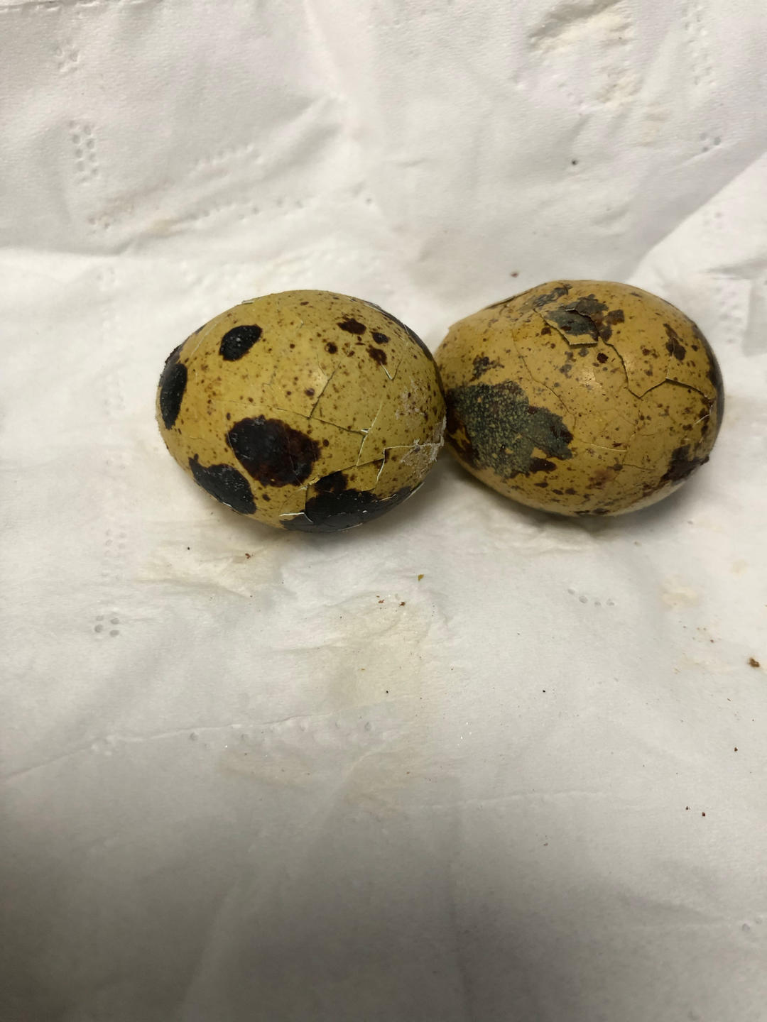 简易版盐焗鹌鹑蛋（电饭煲）