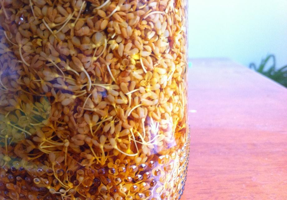 桂花泡酒的做法