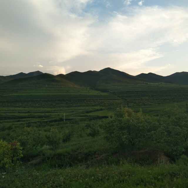 小眼镜琪琪11223344