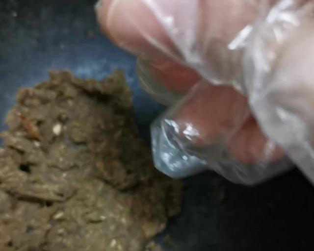 南怀瑾祛湿健脾补气肚脐丸肚脐贴