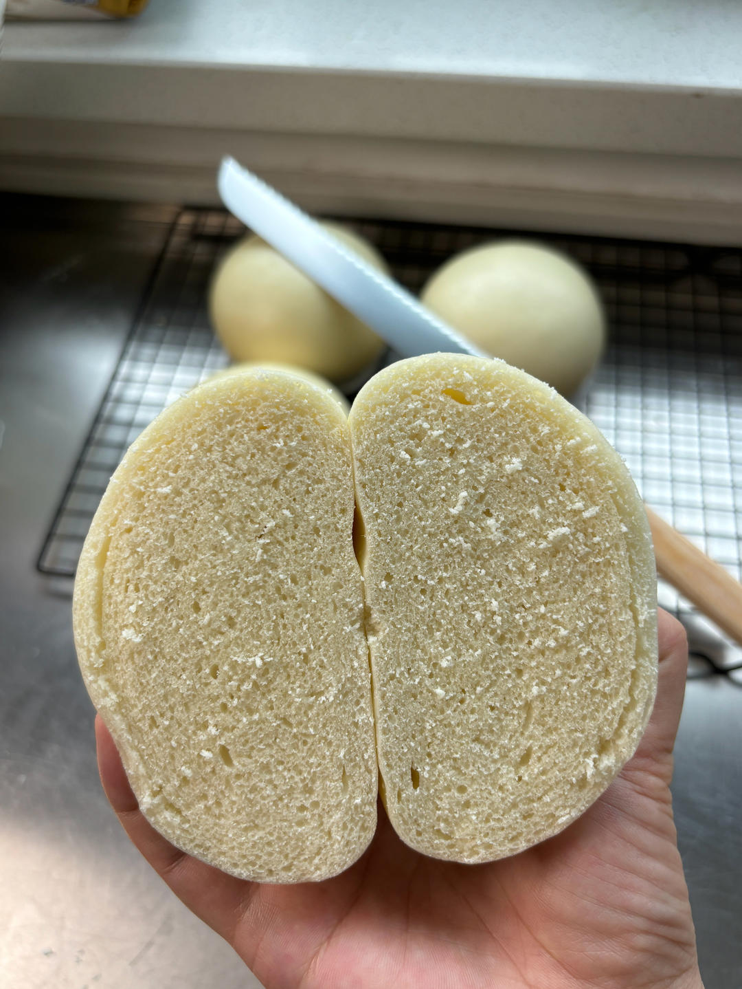 发酵食养记