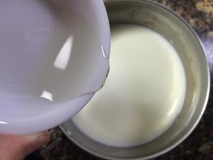 椰蓉奶冻的做法 步骤4