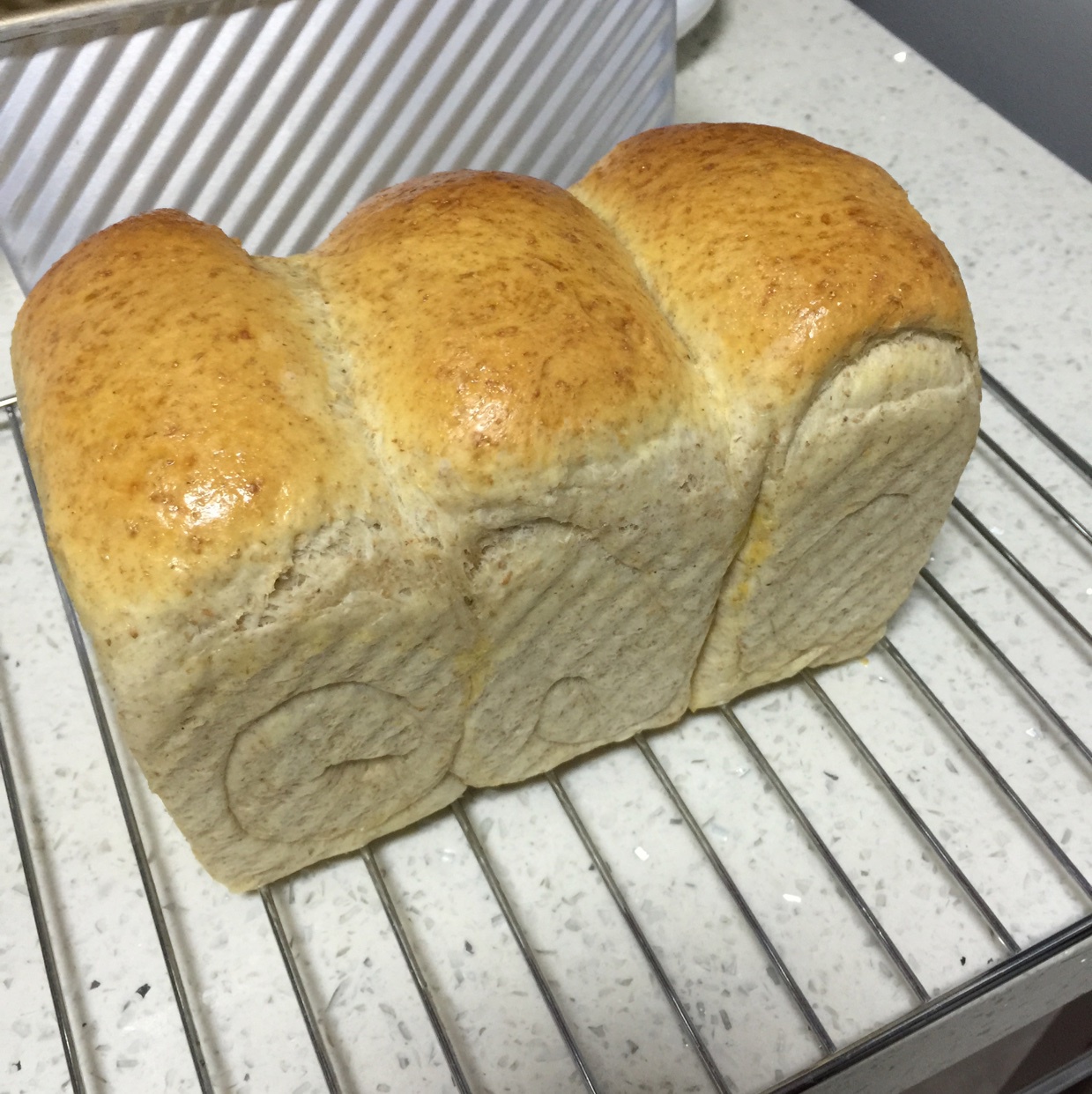 全麦北海道土司