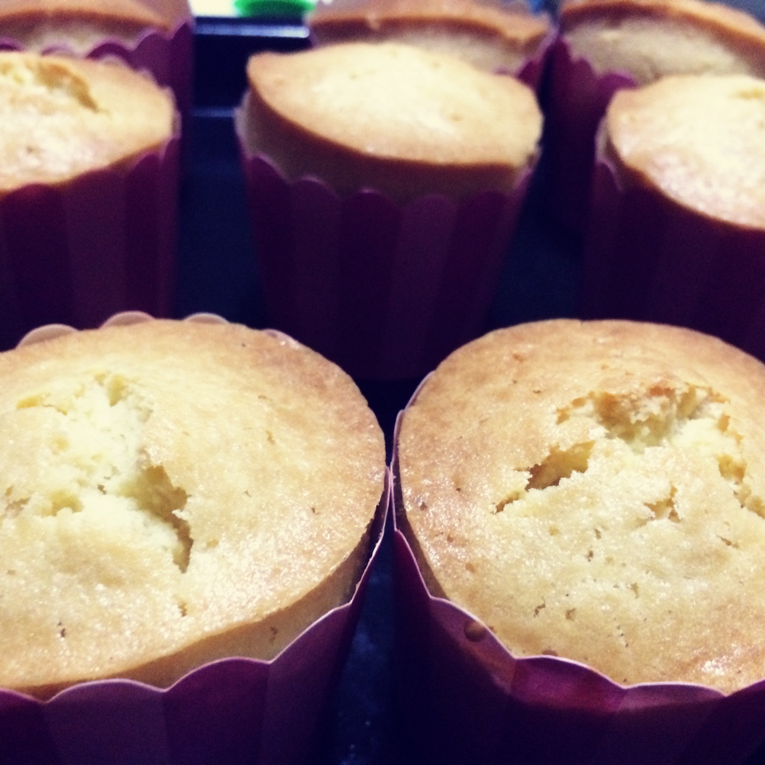 香喷喷的马芬蛋糕