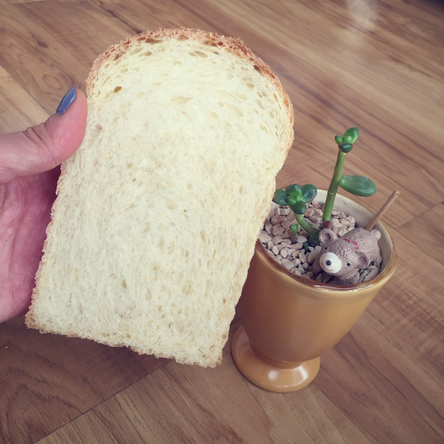 100％中种牛奶吐司