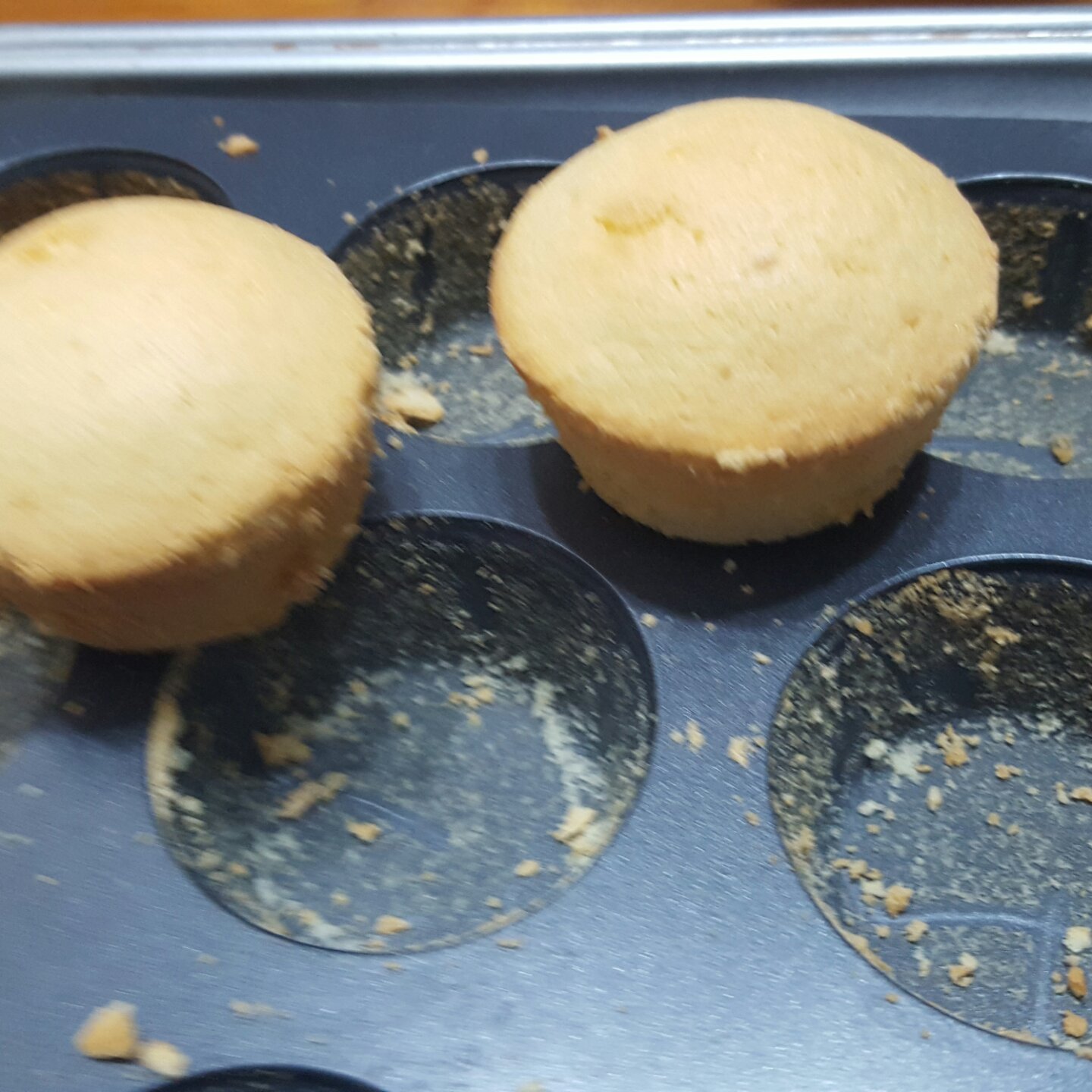 #阳晨3231-3麦芬蛋糕12连模试用#海绵杯子蛋糕