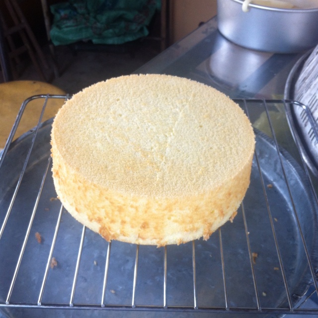 海绵蛋糕