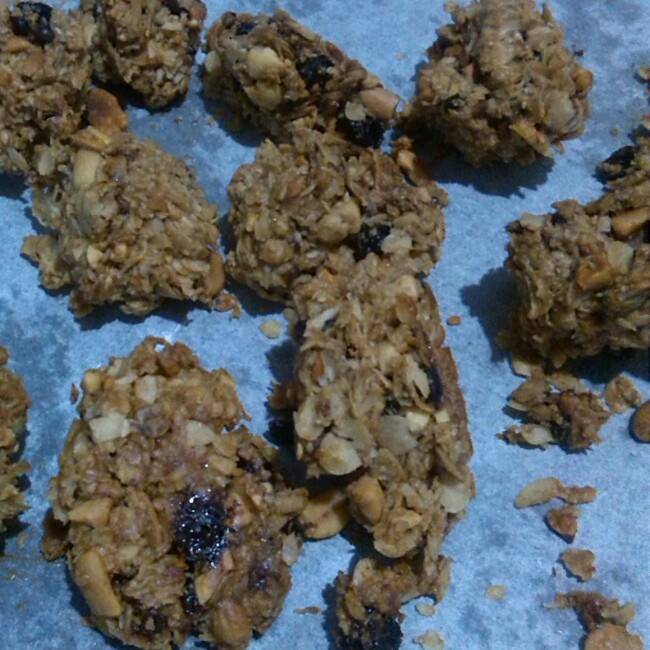燕麦小饼干